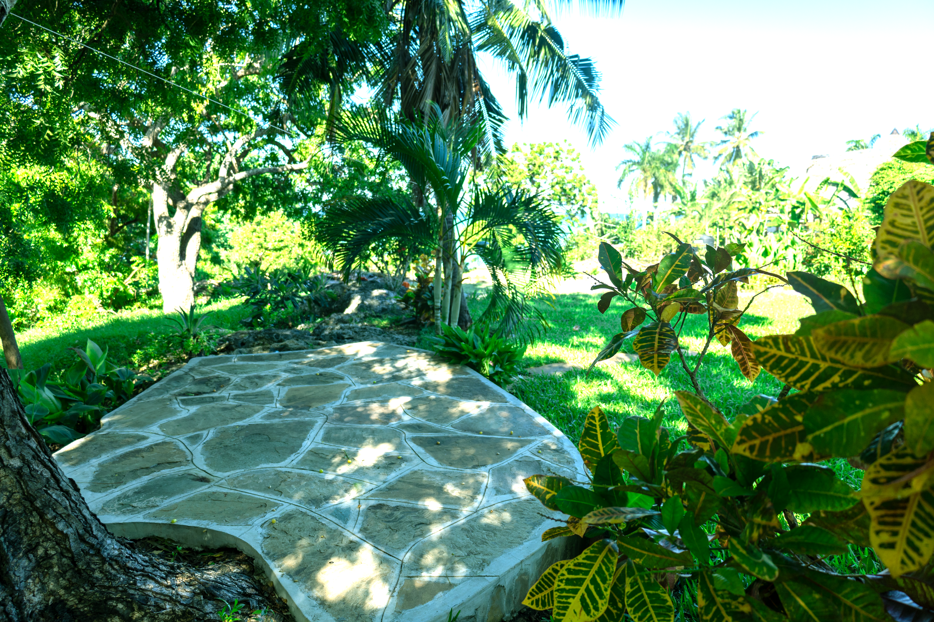 Prime 0.42-Hectare Beachfront Villa with Expansion Potential for Sale
